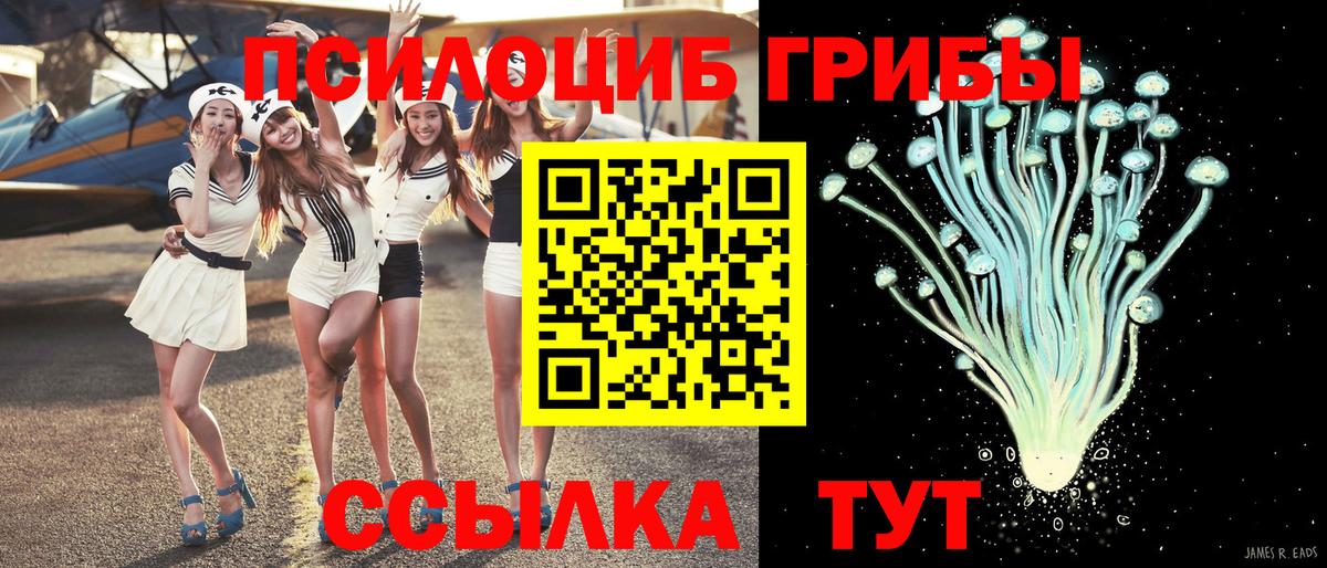 Псилоцибиновые грибы прущие грибы Тейково
