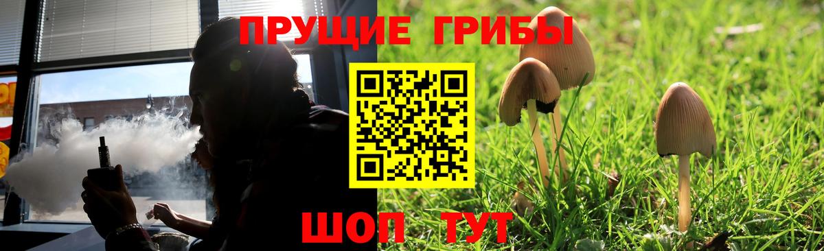 Псилоцибиновые грибы GOLDEN TEACHER  Вход с VPN  Псилоцибиновые грибы Psilocybine cubensis  Тейково 